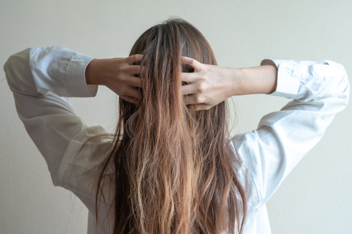 Dry Hair image photo. How To Get Shiny Hair With Ayurvedic Herbs?