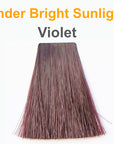 Violet under Sunlight