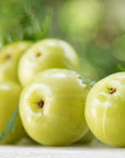 Fresh amla fruit