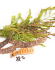 Organic Shikakai Seed Powder For Hair