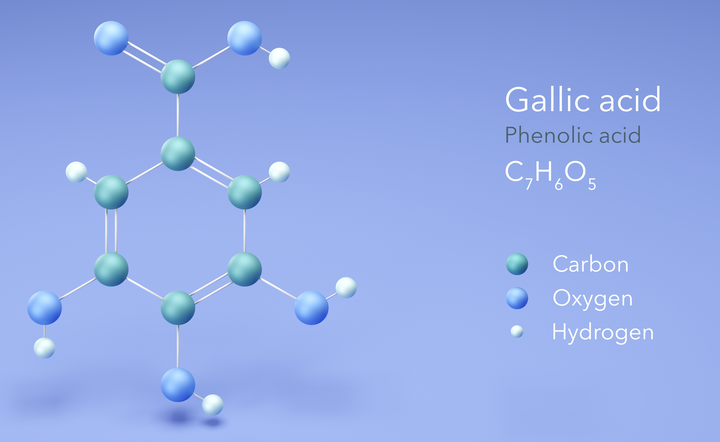 Gallic acid chemical formula pictures.