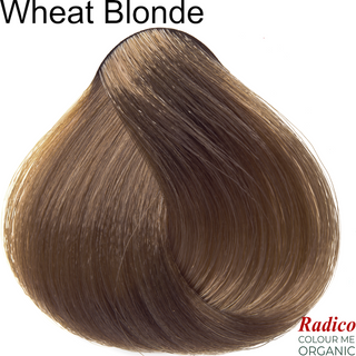 Wheat Blonde Organic Hair Color. Hair Sample.