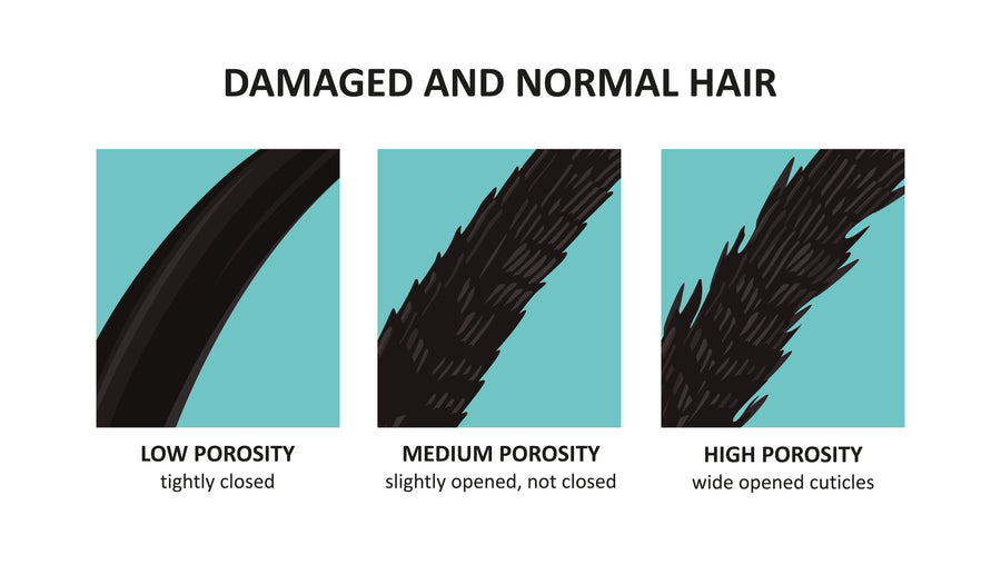Damaged and normal hair