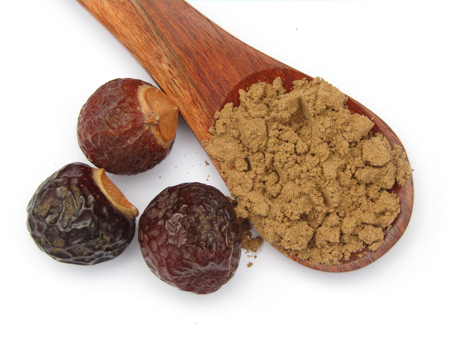 Ayurvedic Herbal Hair Shampoo & Cleanser - Ritha Fruit – Radico USA