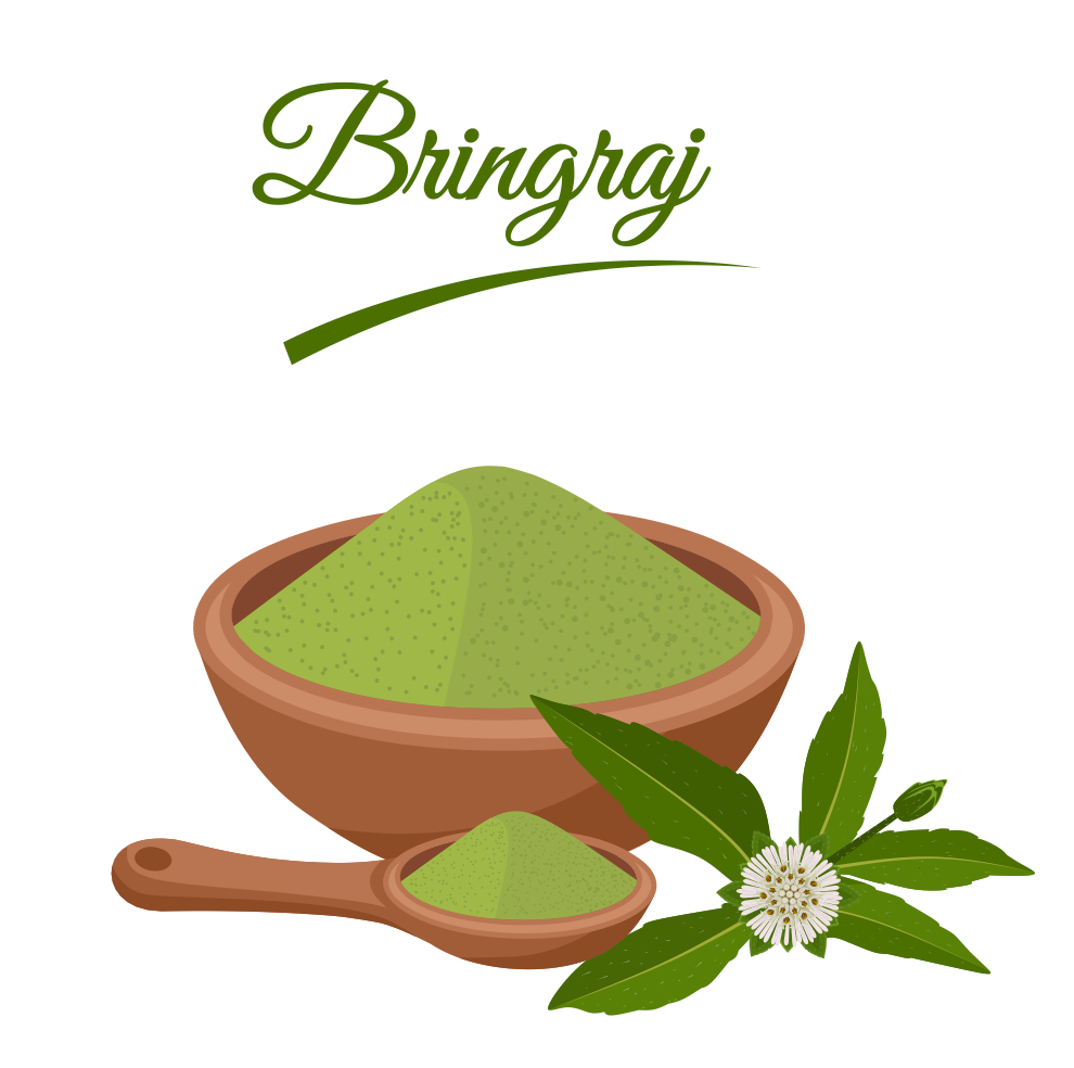 Organic Bhringraj Leaf Powder For Hair