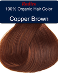 Copper Brown Hair Color Sample