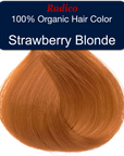 Strawberry Blonde Hair Sample