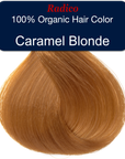 Caramel Blonde Hair Sample
