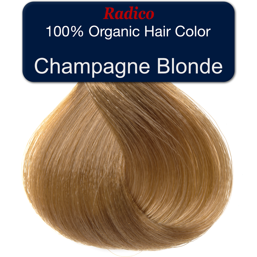 Champagne Blonde Hair Sample