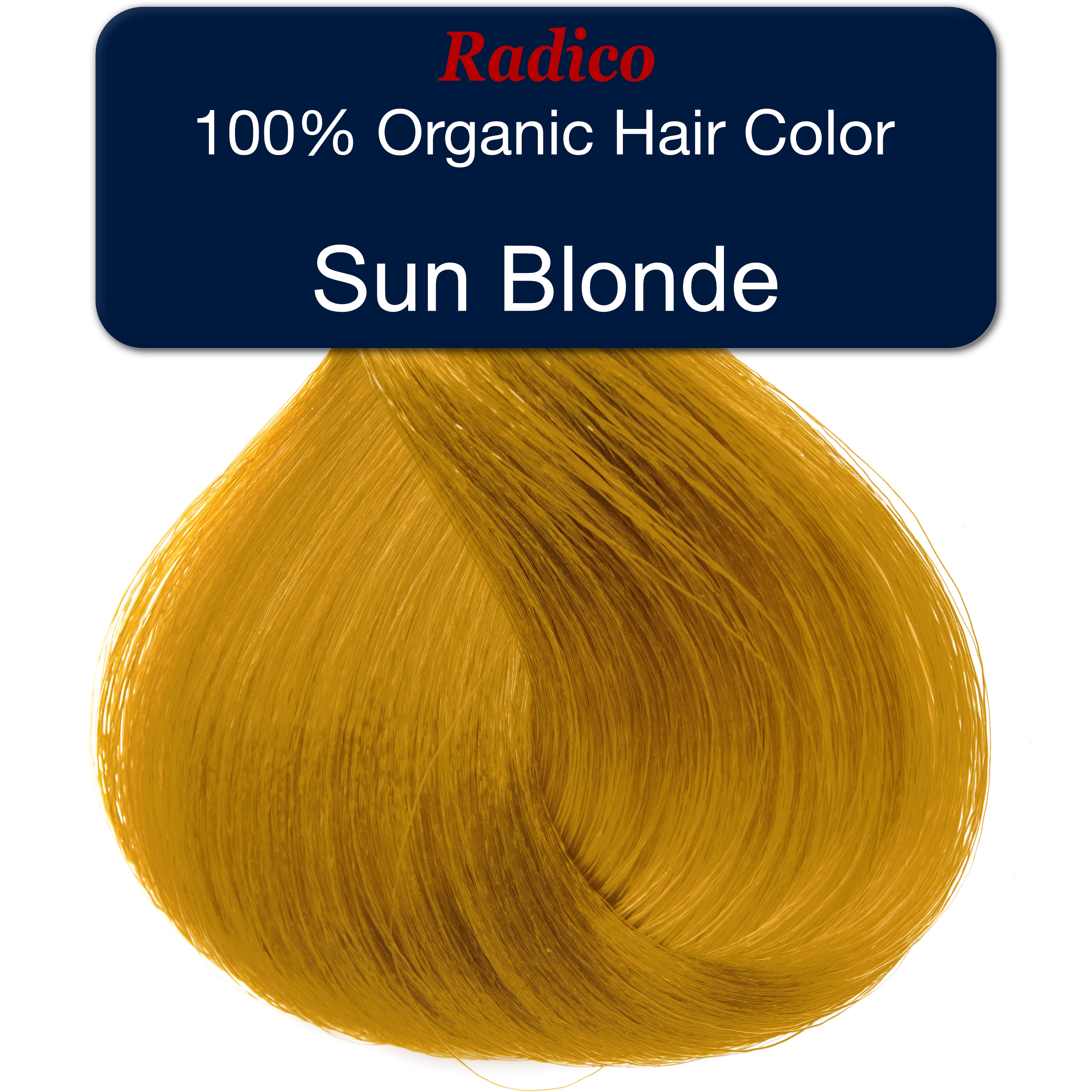 Sun Blonde Hair Color Sample