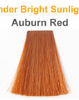 Auburn red under sunlight