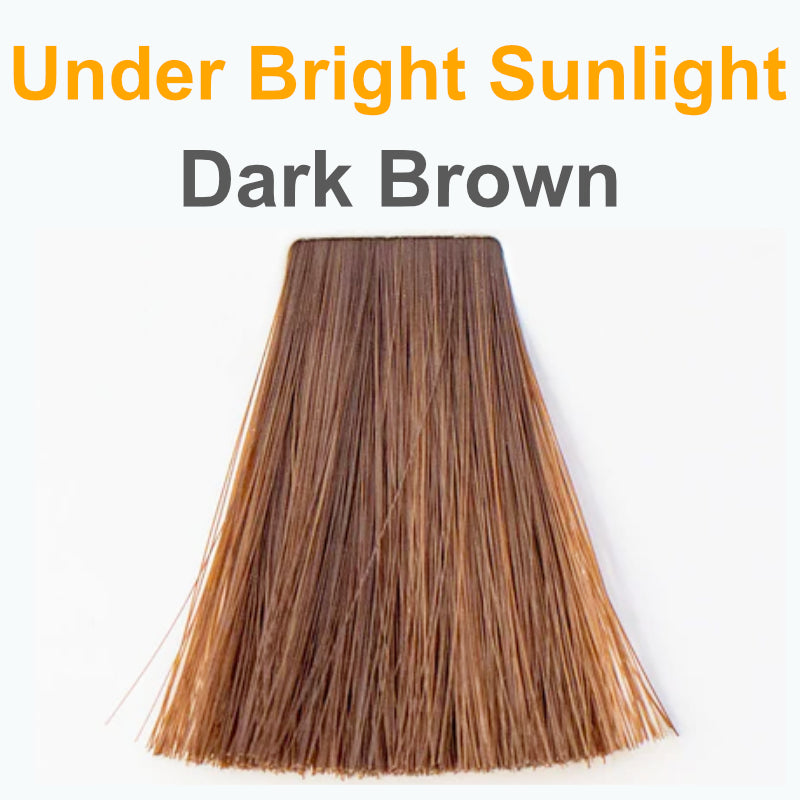 Dark Brown under Sunlight