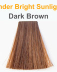 Dark Brown under Sunlight
