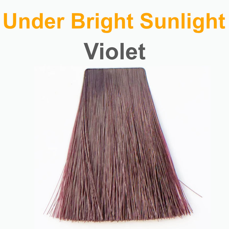 Violet under Sunlight