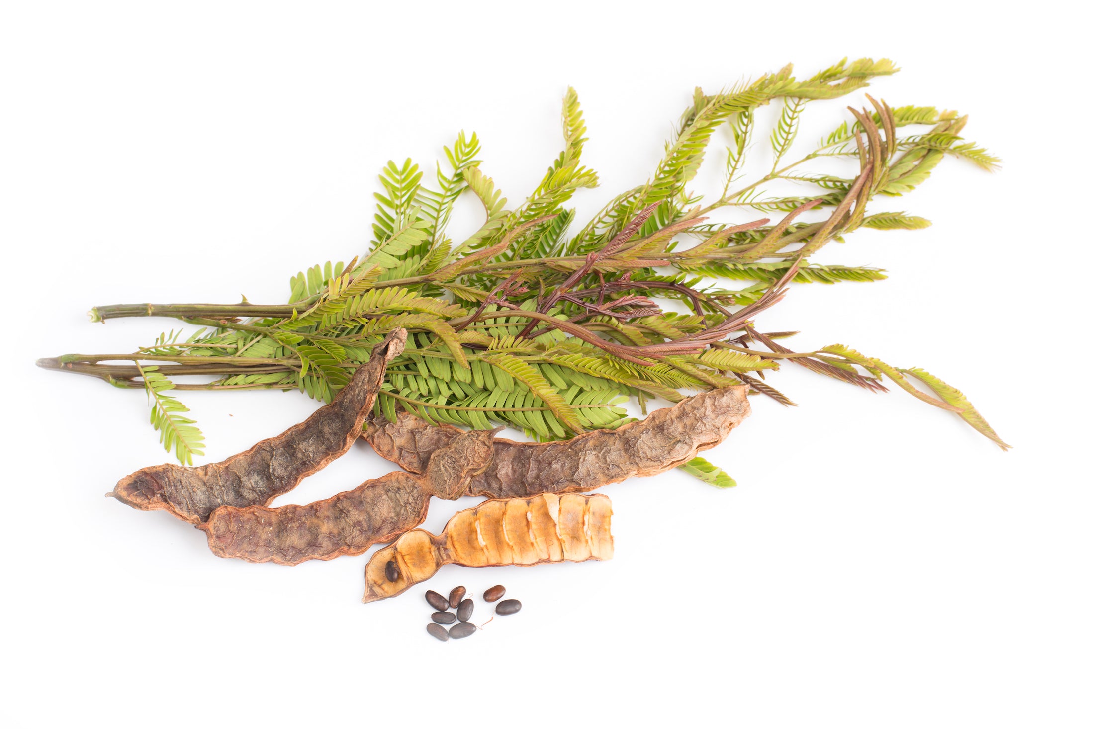 Organic Shikakai Seed Powder For Hair