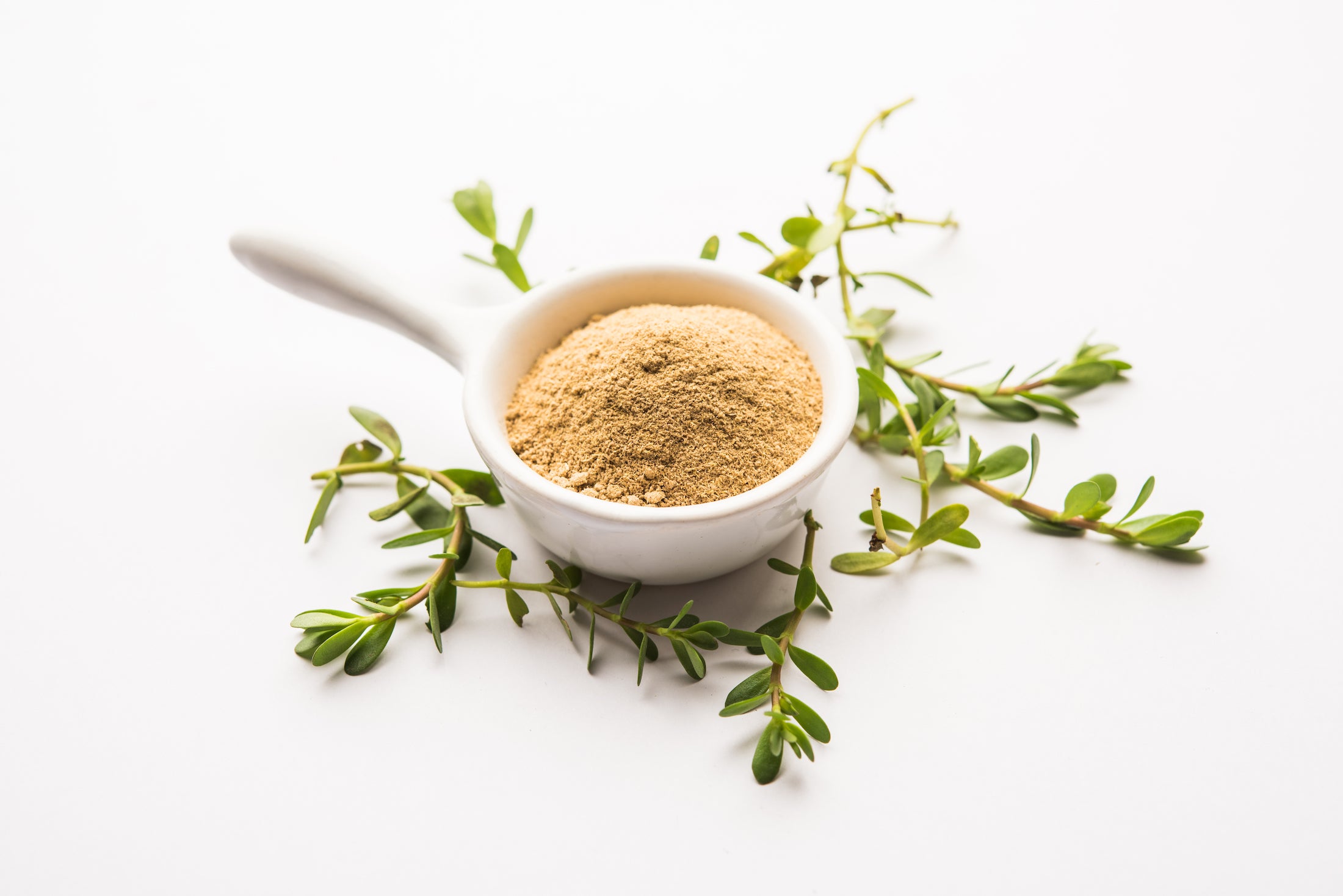 Organic Brahmi Leaf Powder For Hair